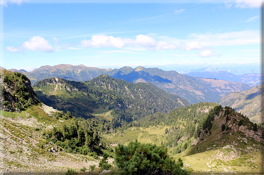 foto Forcella Pala del Becco